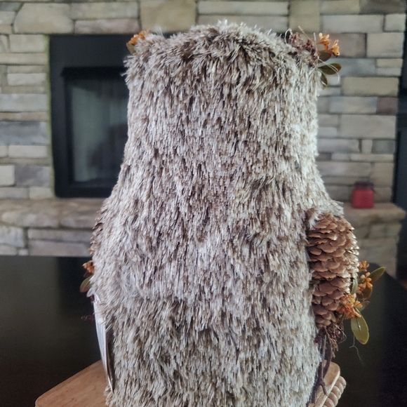 Gorgeous Woodland Owl Decor-NWT - Picture 3 of 7